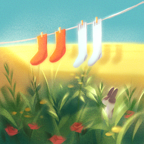太陽曬襪子-01